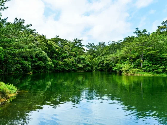 OKINAWA